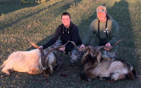 Texas Exotic Hunting Lonesome Bull Ranch