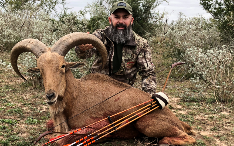 Aoudad Exotic Hunt in Texas