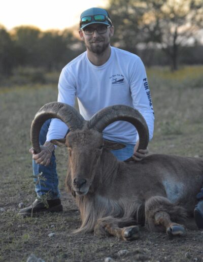 Aoudad Hunt