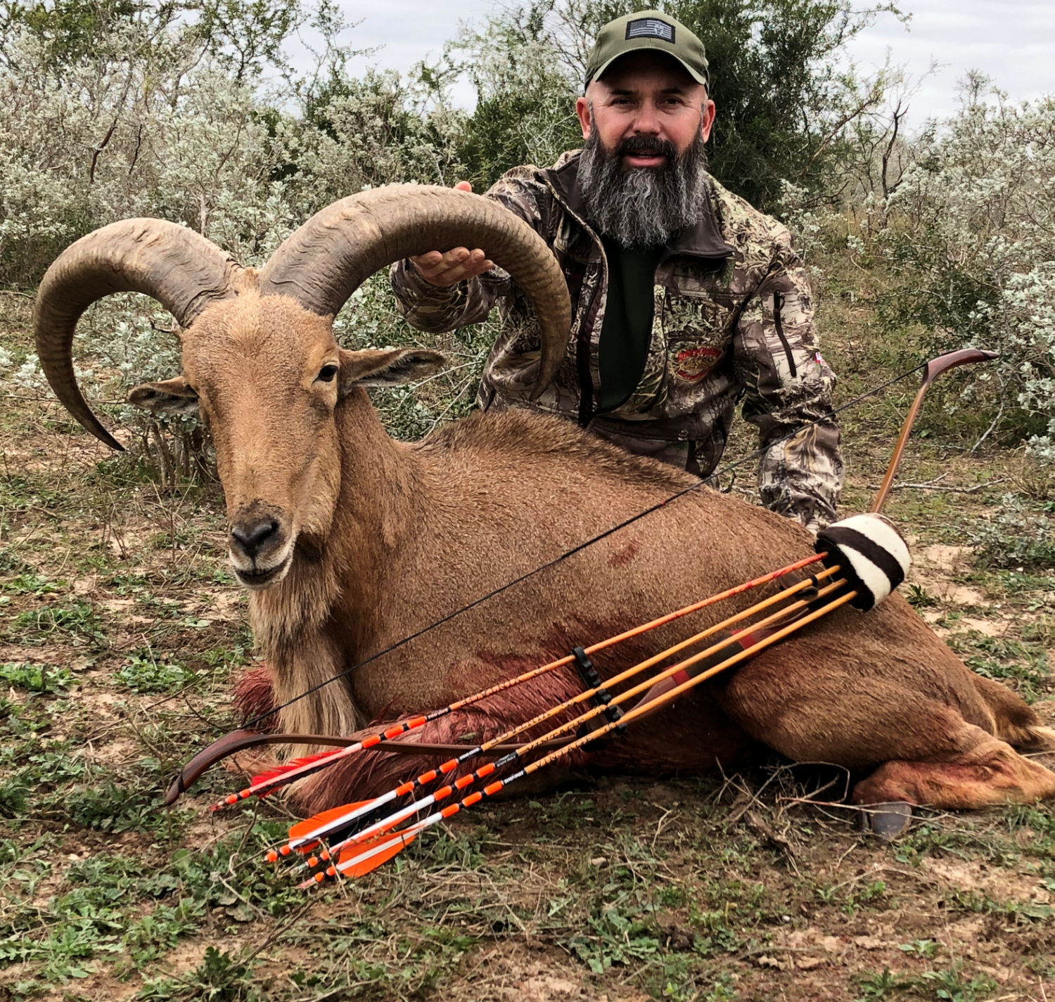 Trophy Aoudad Hunting in Texas