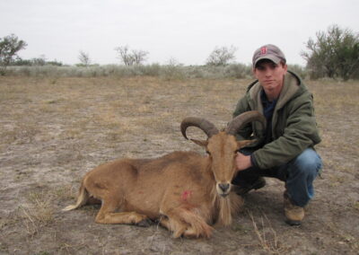 Aoudad Meat Hunt