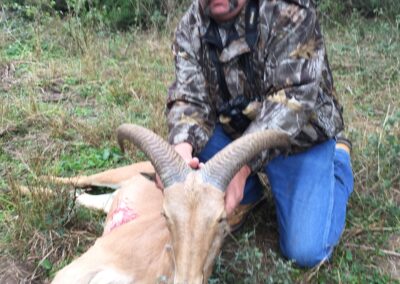 Aoudad Meat Hunt in Texas