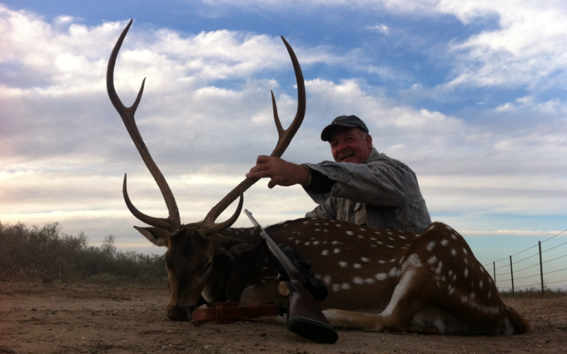 Axis Deer Exotic Hunt in Texas