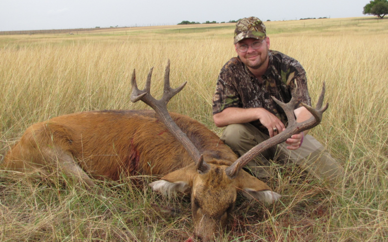 Barasingha Exotic Hunt in Texas