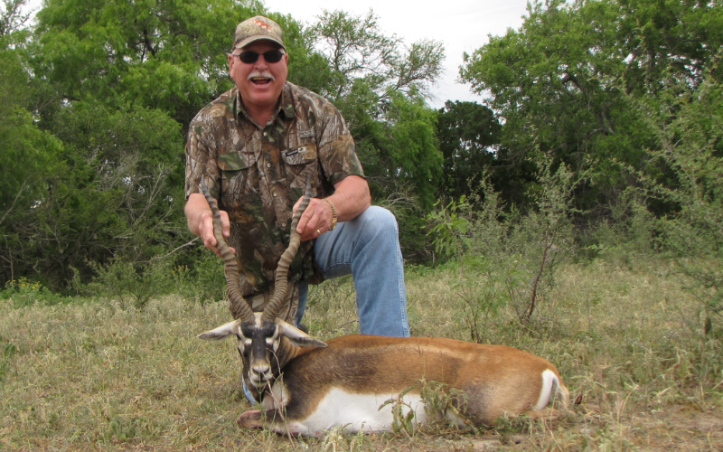 Black Buck Antelope Exotic Hunt in Texas