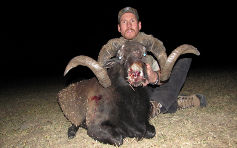 Black Hawaiian Exotic Hunt in Texas