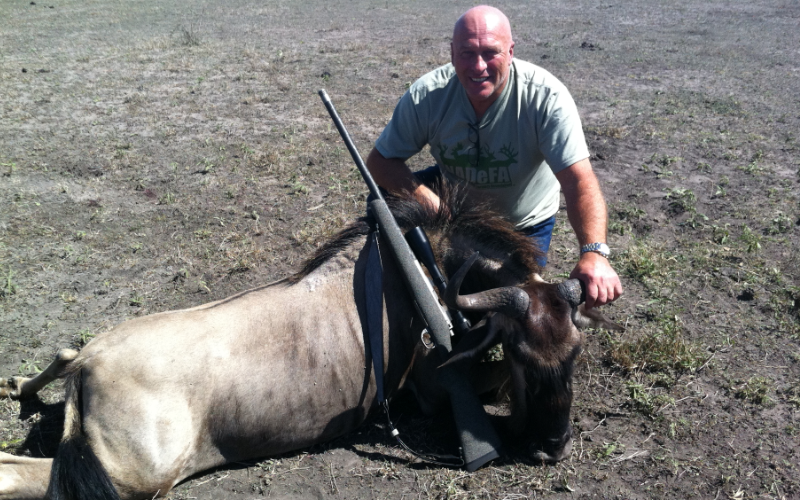 Blue Wildebeest Exotic Hunt in Texas