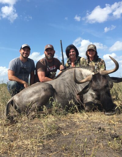 Blue Wildebeest Hunt