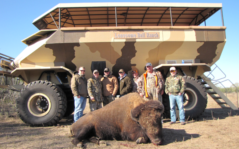 Buffalo Exotic Hunt in Texas