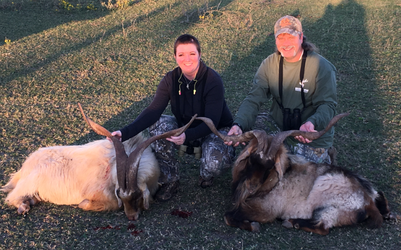 Catalina Exotic Hunt in Texas