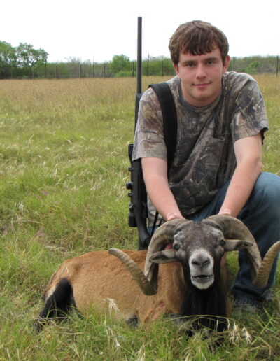 Corsican Sheep Hunt