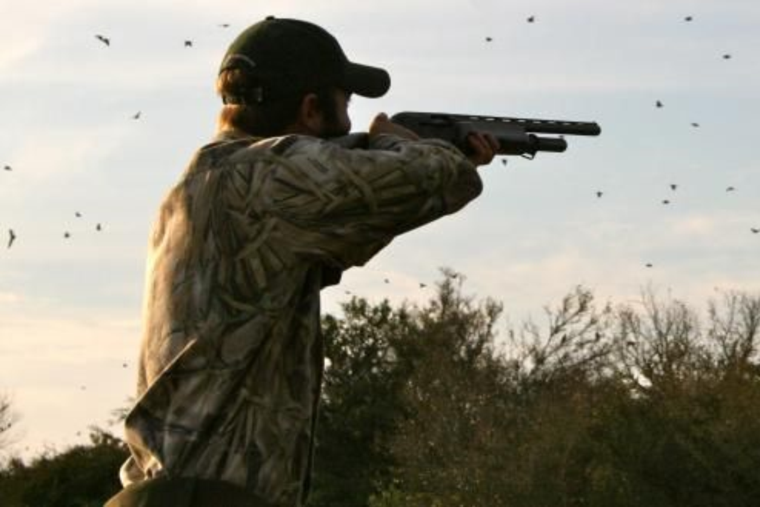 Dove Hunts Texas