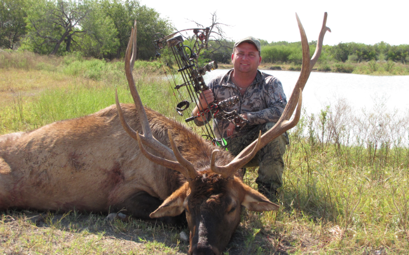 Elk Exotic Hunt in Texas