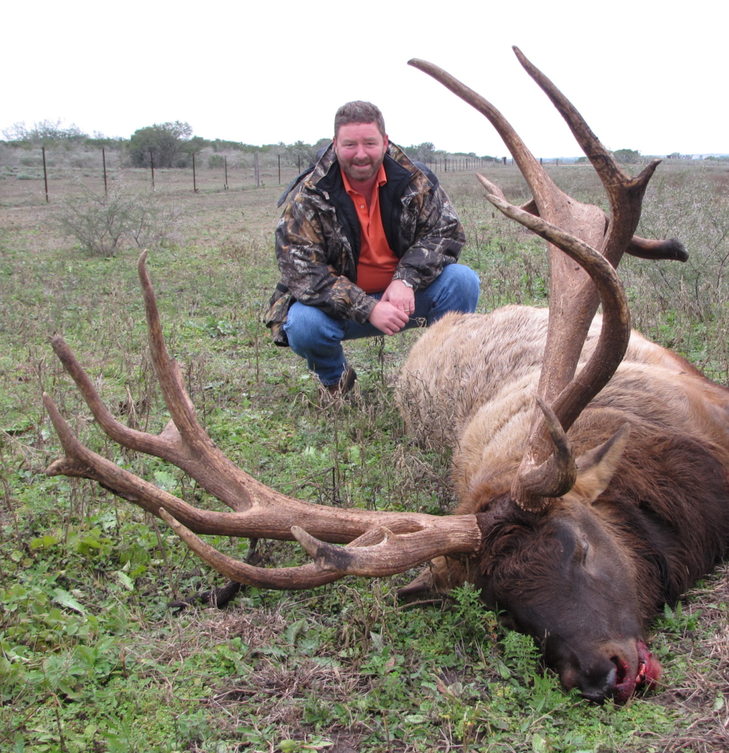 Elk Hunting in Texas