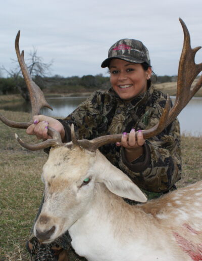 Fallow Deer Hunt