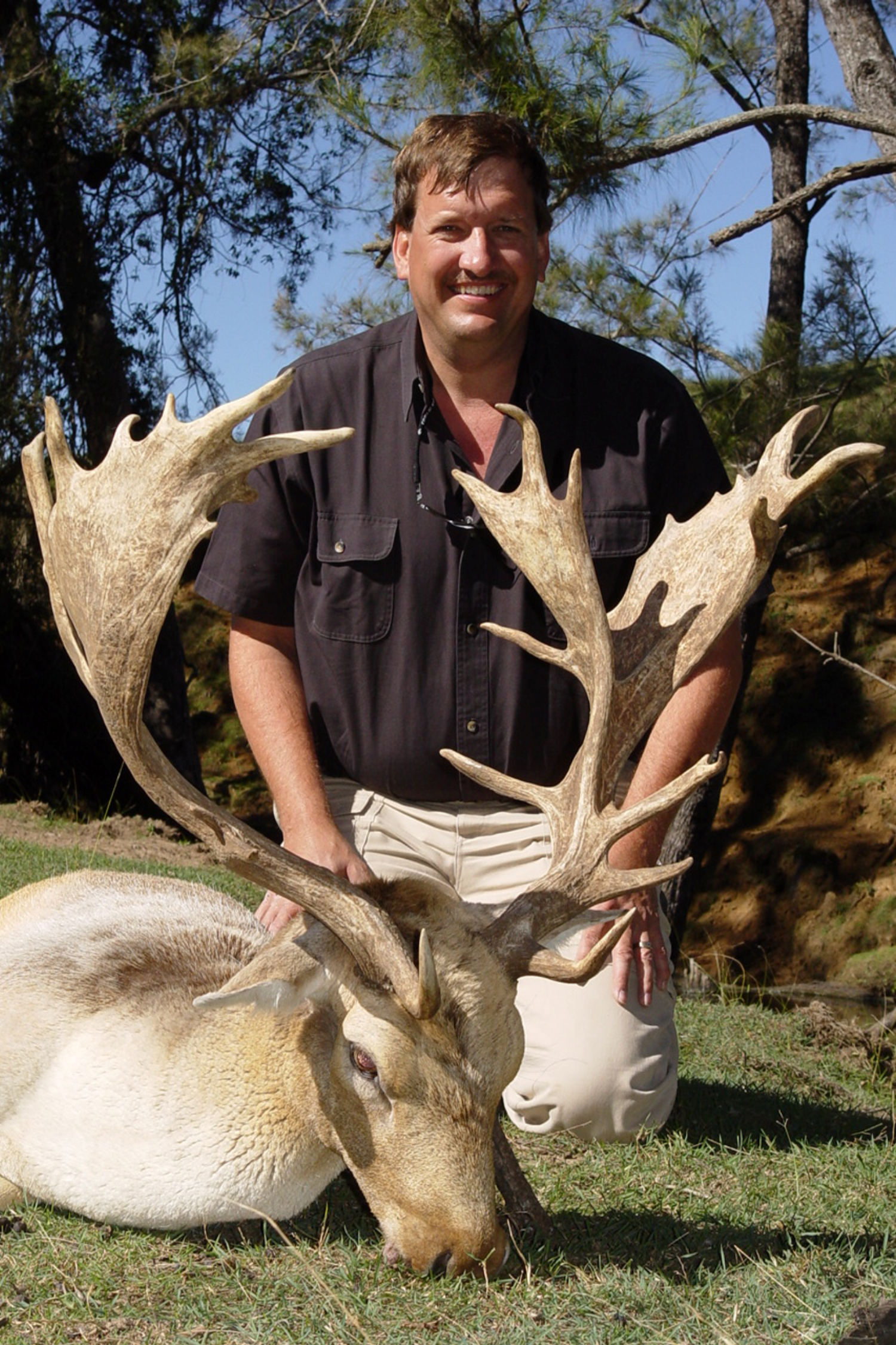 Fallow Deer Hunting in Texas