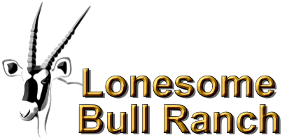 Lonesome Bull Ranch Logo