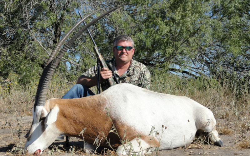 Scimitar Horned Oryx Exotic Hunt in Texas