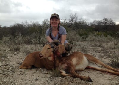 Texas Aoudad meat Hunt