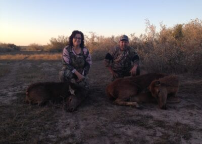 Texas Exotic Meat Hunt