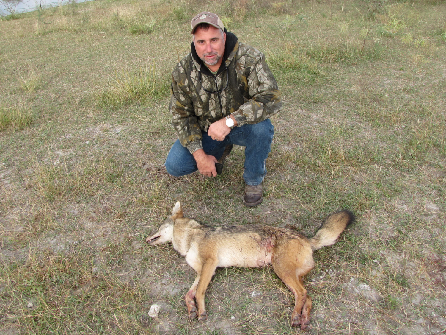 Texas Predator Hunting