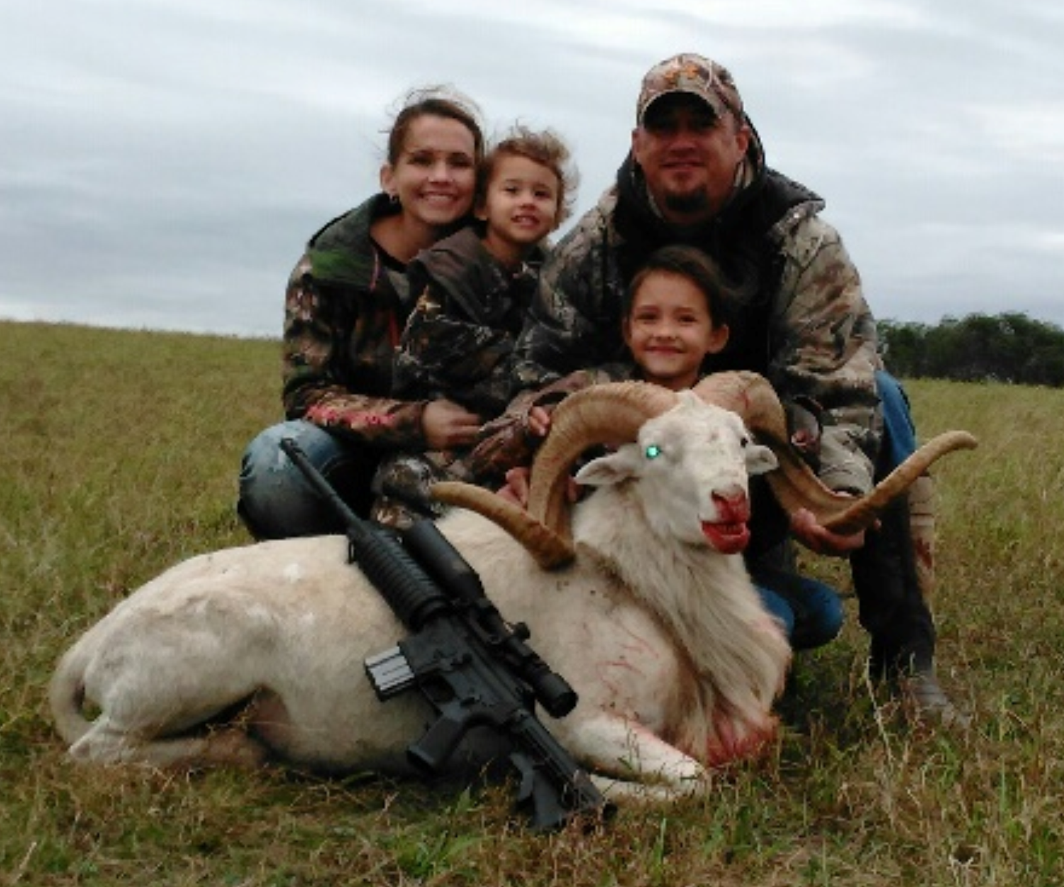 Trophy Texas Dall Sheep Hunting