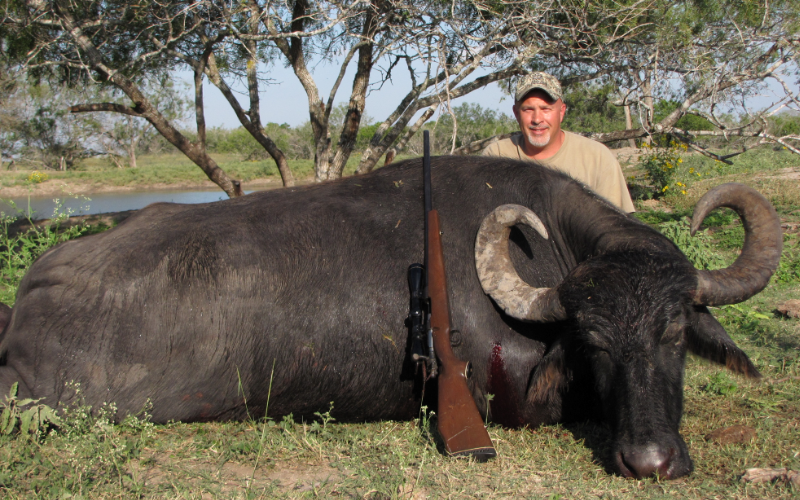 Water Buffalo Exotic Hunt in Texas