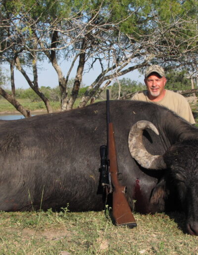 Water Buffalo Hunt