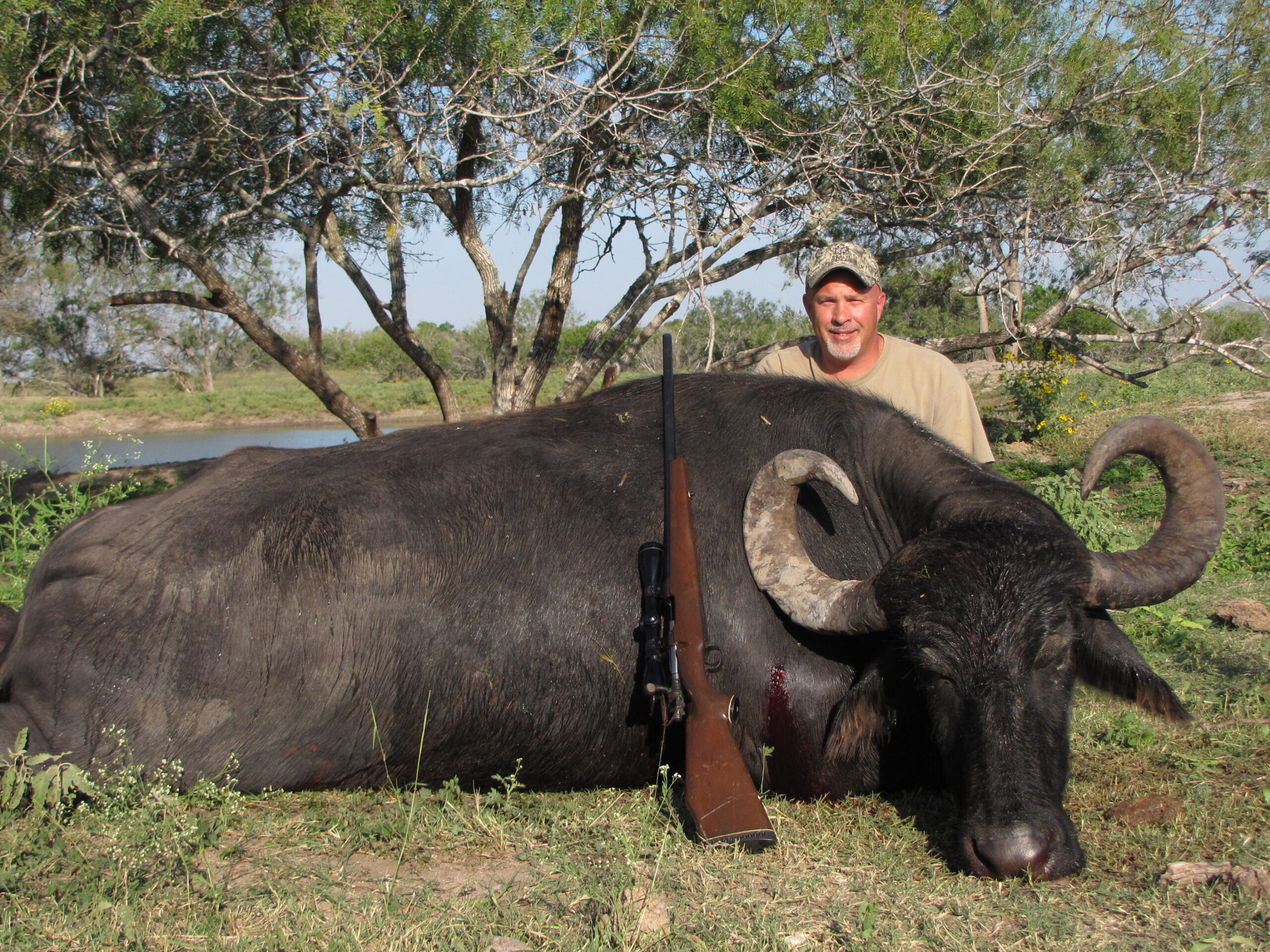 Water Buffalo Hunting in Texas