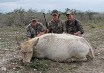 White Buffalo Meat Hunt