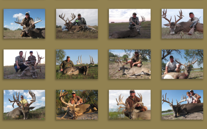 Whitetail Deer Hunting Pictures