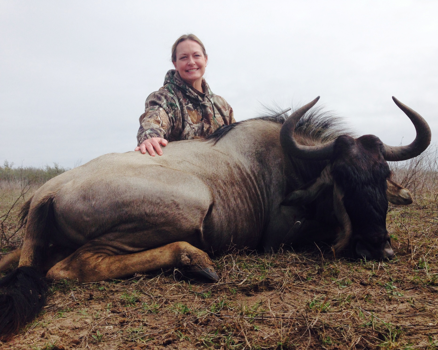 Texas Wildebeest Hunting