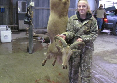 Youth Aoudad Meat Hunt