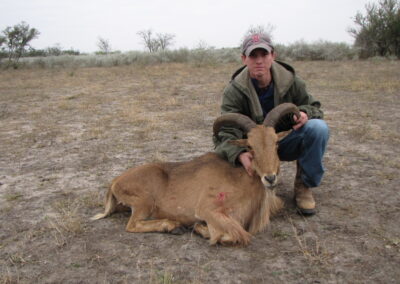 Youth Aoudad Meat Hunt Texas