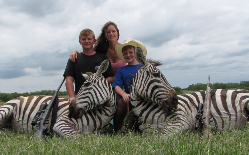 Zebra Exotic Hunt in Texas