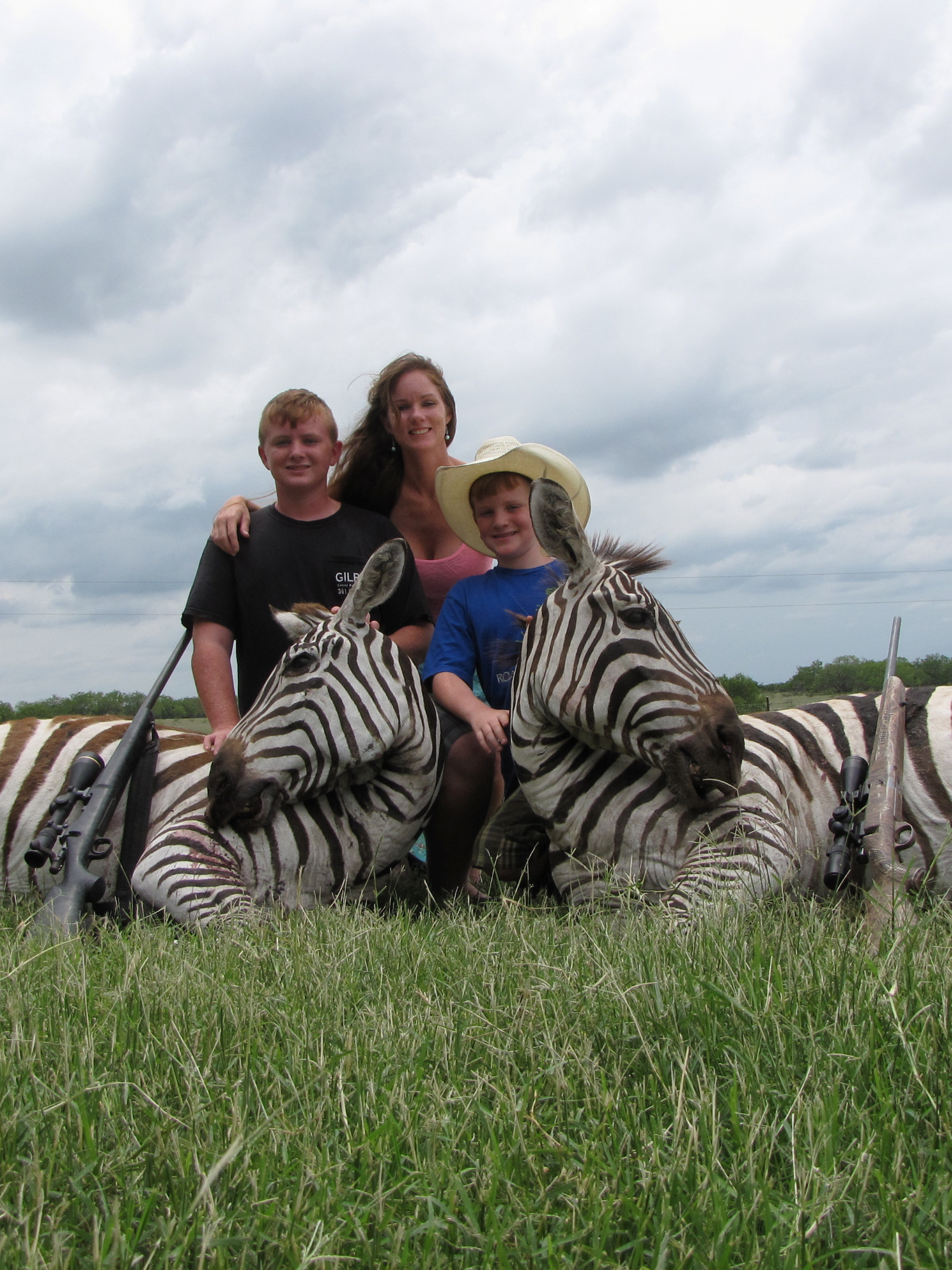 Zebra Hunting in Texas