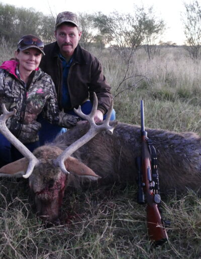 Barasingha Hunt Texas