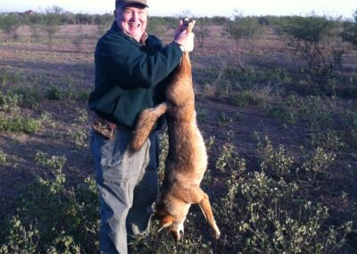 Coyote Hunt TX