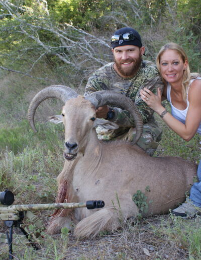 TX Aoudad Hunt