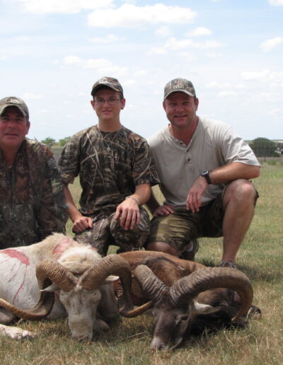 TX Dall Sheep Hunt