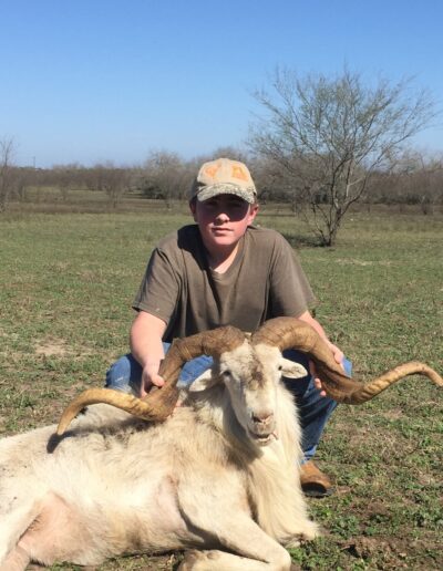 Texas Dall Sheep Hunt