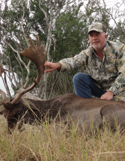 Texas Fallow Deer Hunt