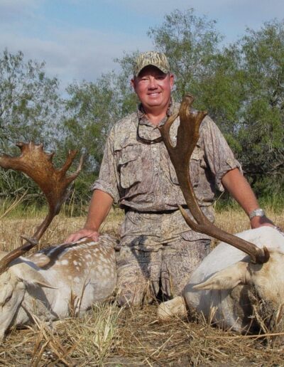 Texas Fallow Deer Hunts