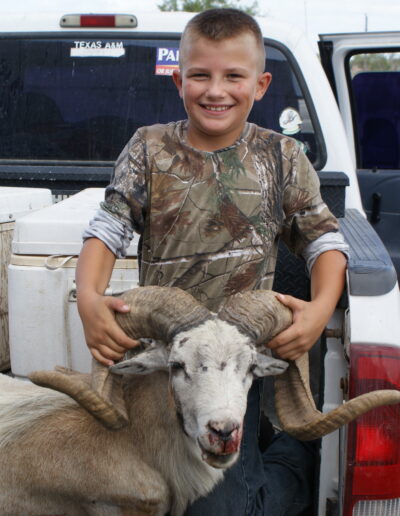 Texas Dall Sheep Hunt 1