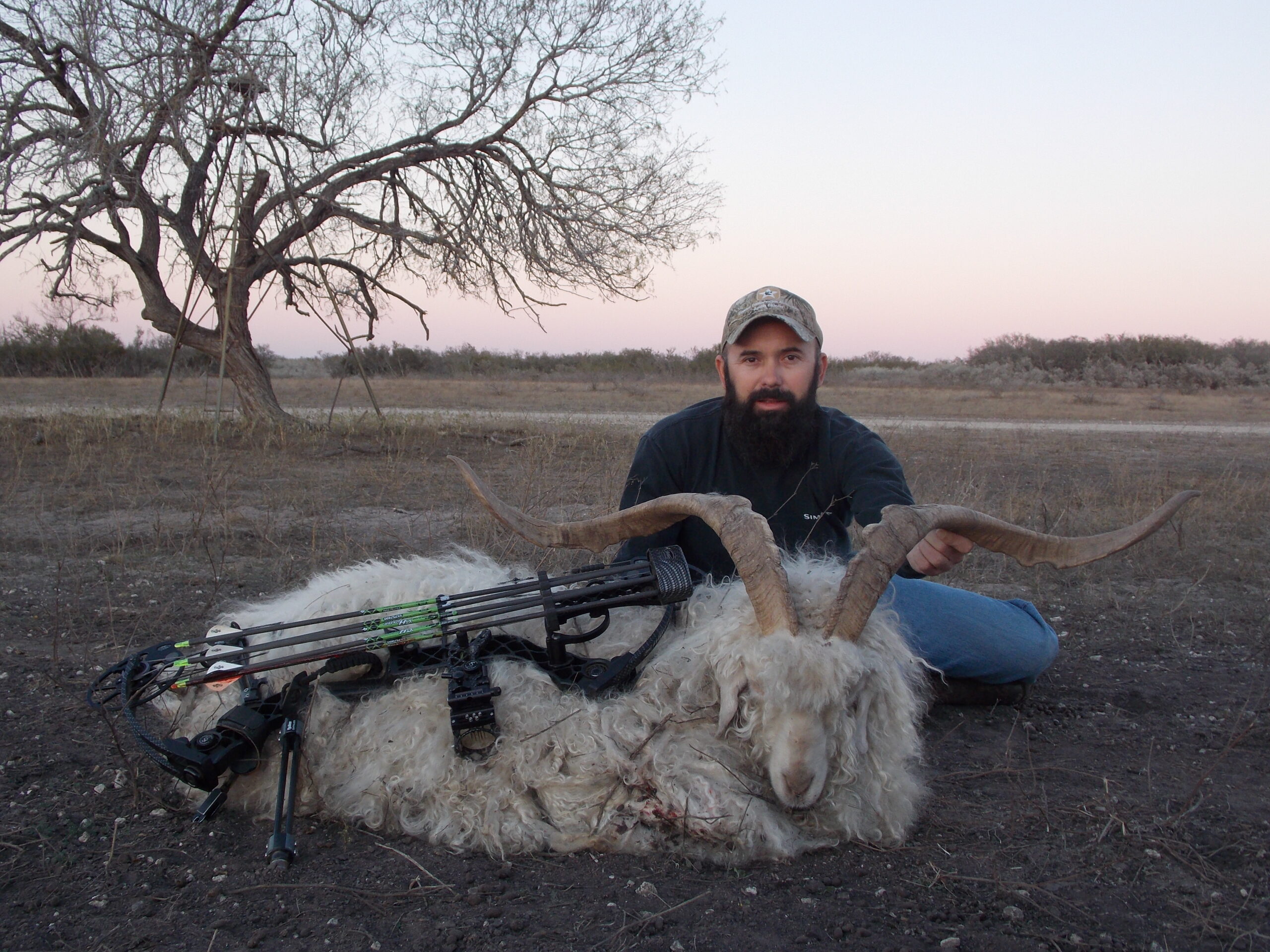 Catalina Hunting in Texas