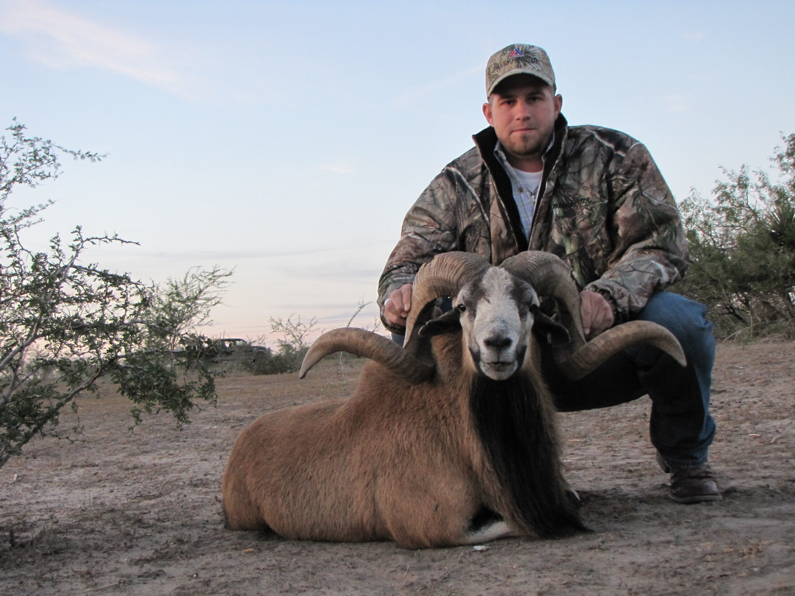 Corsican Sheep Hunting in Texas