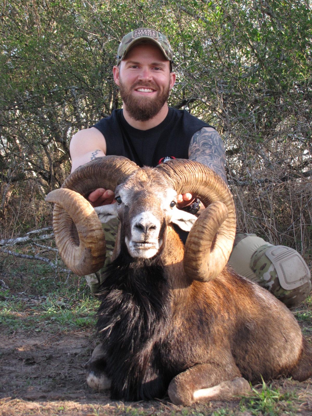 Mouflon Sheep Hunting in Texas