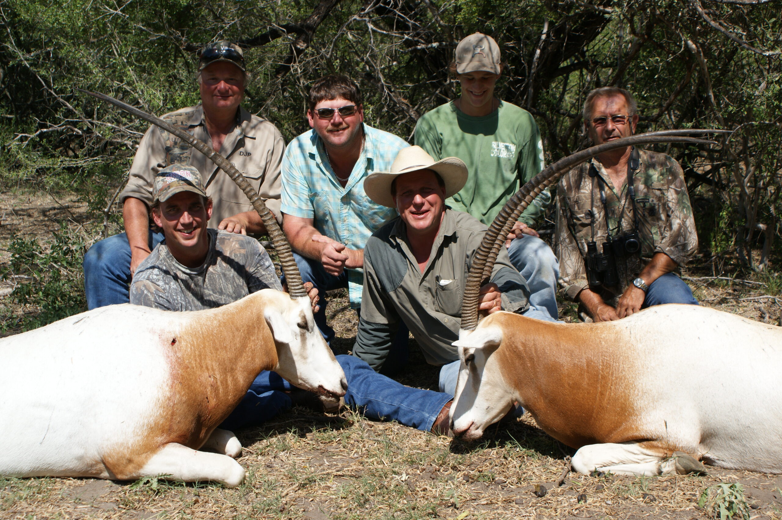 Scimitar Horned Oryx Hunting in Texas