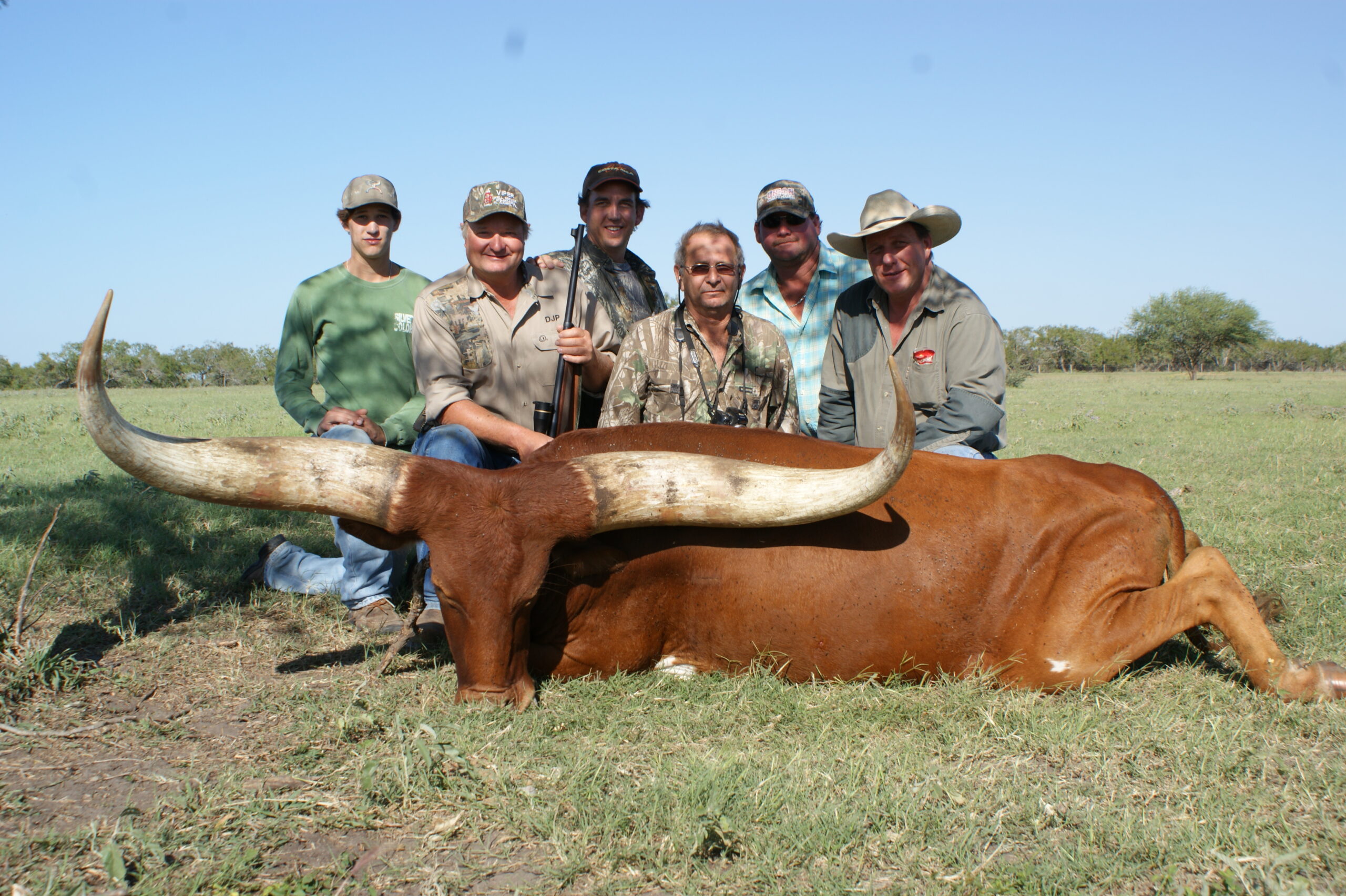 Watusi Hunting in Texas