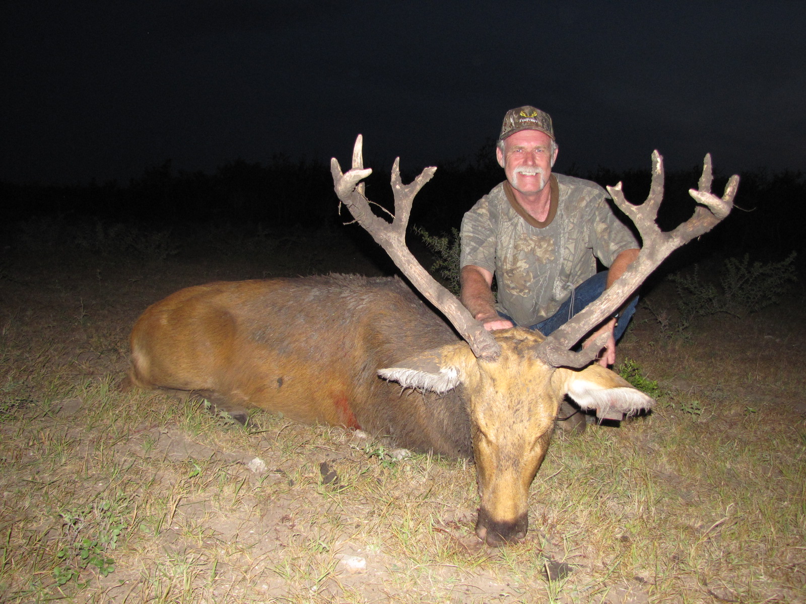 Barasingha Hunting in Texas